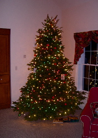 Christmas Tree