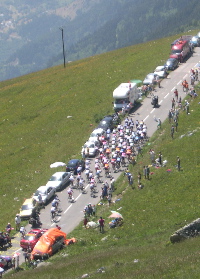 [Yellow Jersey Group]